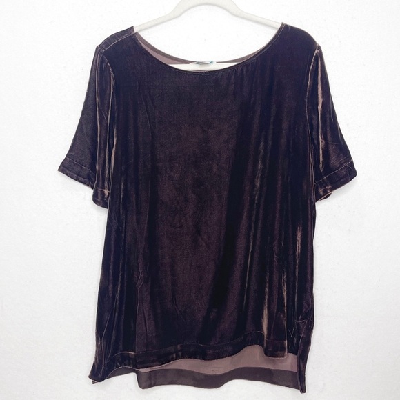 Sundance Catalog Brown Velvet Silk Blend Forever Top Size Large - Picture 2 of 5